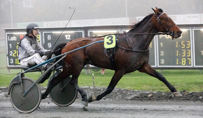 Jernlady til bed�kning i Nordjylland