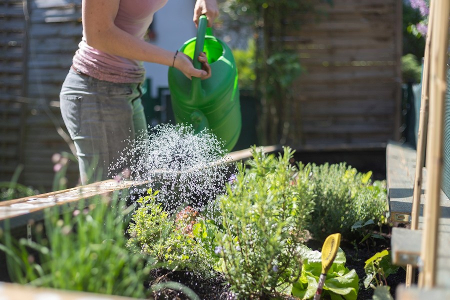 K�kkenhave for de travle