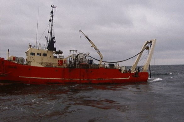 S�kablet har tydelige skader efter anker