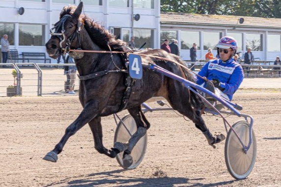 Choksejr til bornholmsk opdr�t