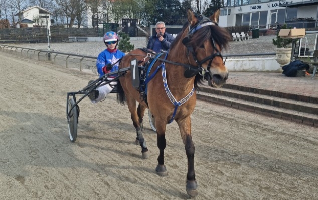 Landsholdskusk vil ogs� k�re med store heste