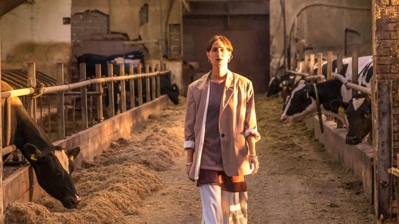 Hy�ne Film vandt Robert Prisen for bedste film