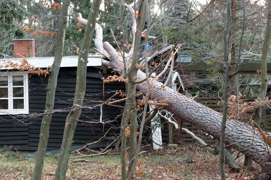Storm gav flere skader end forventet