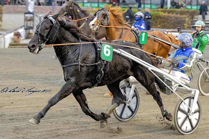 Bornholmer til tops i Odense