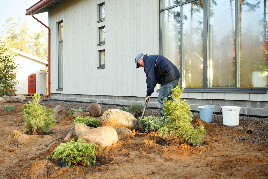 Positiv v�kst hos anl�gsgartner