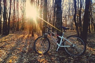 Den perfekte cykel findes derude. L�r mere om cykler generelt