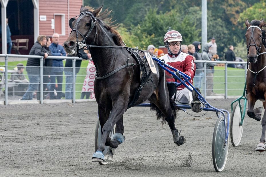Fjerdeplads til Frank Mikkelsens hest i Sverige