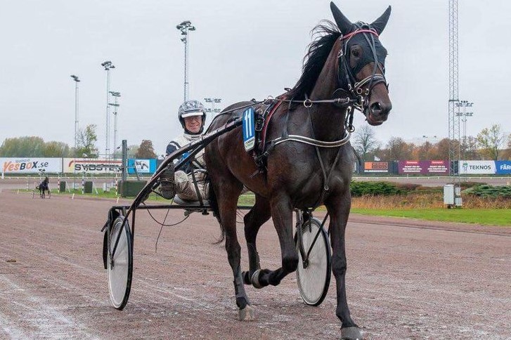 Bornholmsk opdr�t l�b sit livs l�b