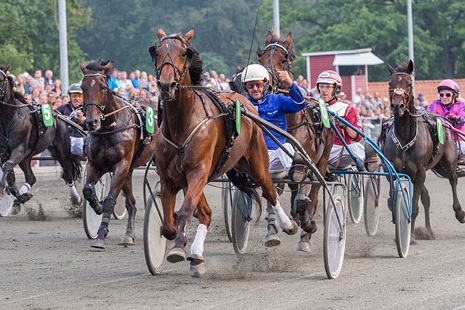 Udl�ndinge udelukkes fra spil p� travbanen