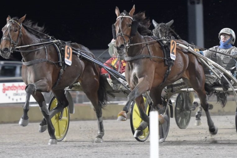 Bornholmers hest vandt 40.000 skr.