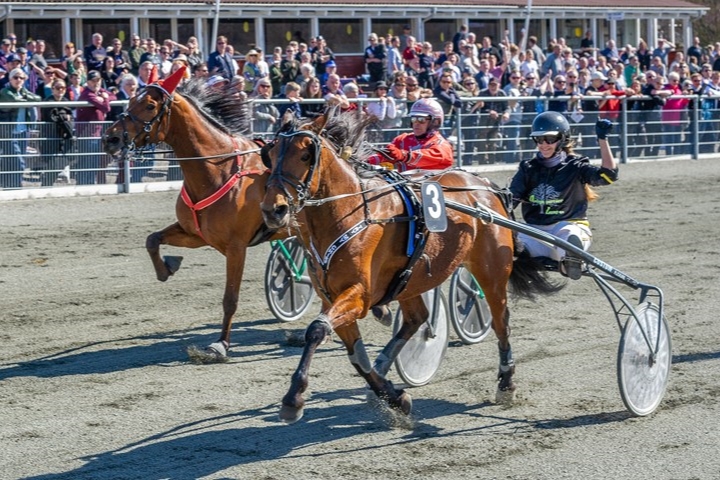 Hesteejere fik udbetalt knap 2 millioner