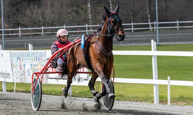 Gommans �bner s�sonen i hovedstaden