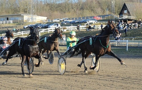 Bornholmsk opdr�t til tops i Aarhus