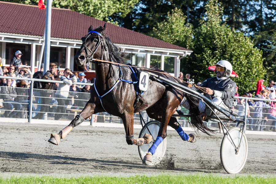 To tr�ningsstalde �bner s�sonen p� s�ndag