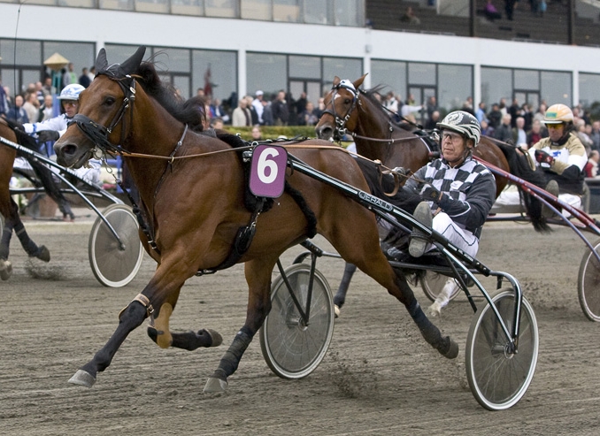 Ny hest til Frank Mikkelsens stald