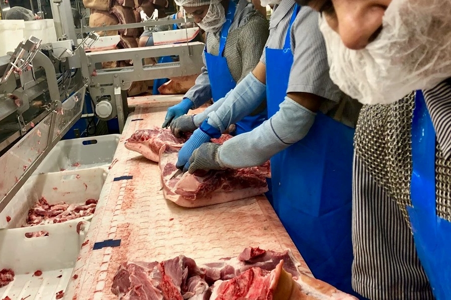 Kritik af hygiejnen p� slagteriet