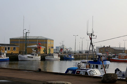 Stort fald i landinger af fisk i Nex�