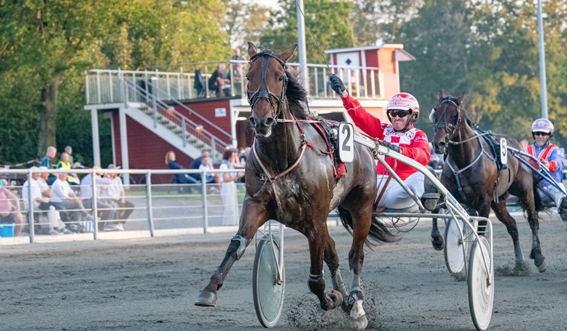 Lillebror til BM-vinder k�bt til Bornholm