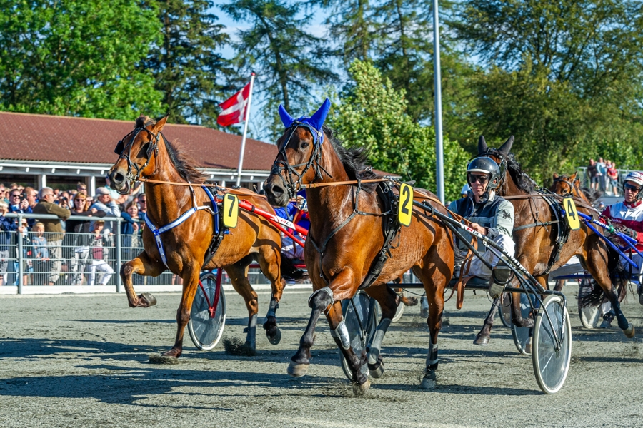 BM-vinderens lillebror skal tr�nes af John Mikkelsen
