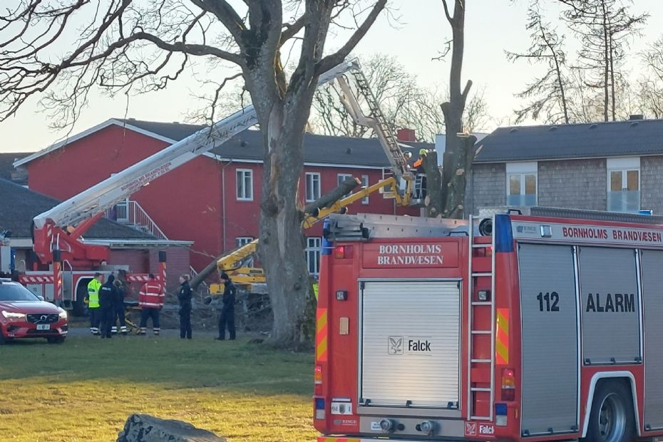 Person skadet ved tr�f�ldning p� h�jskolen