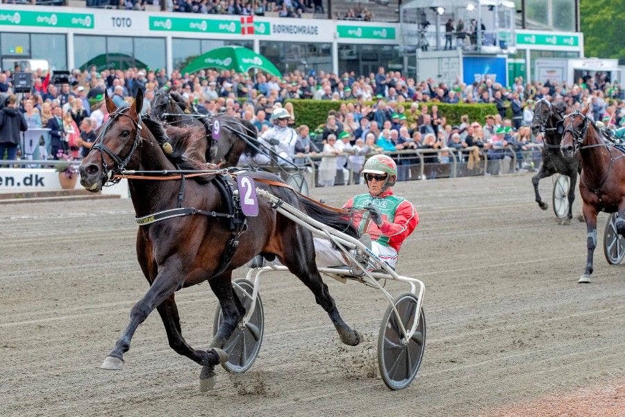 Delejet travhest mod verdenseliten