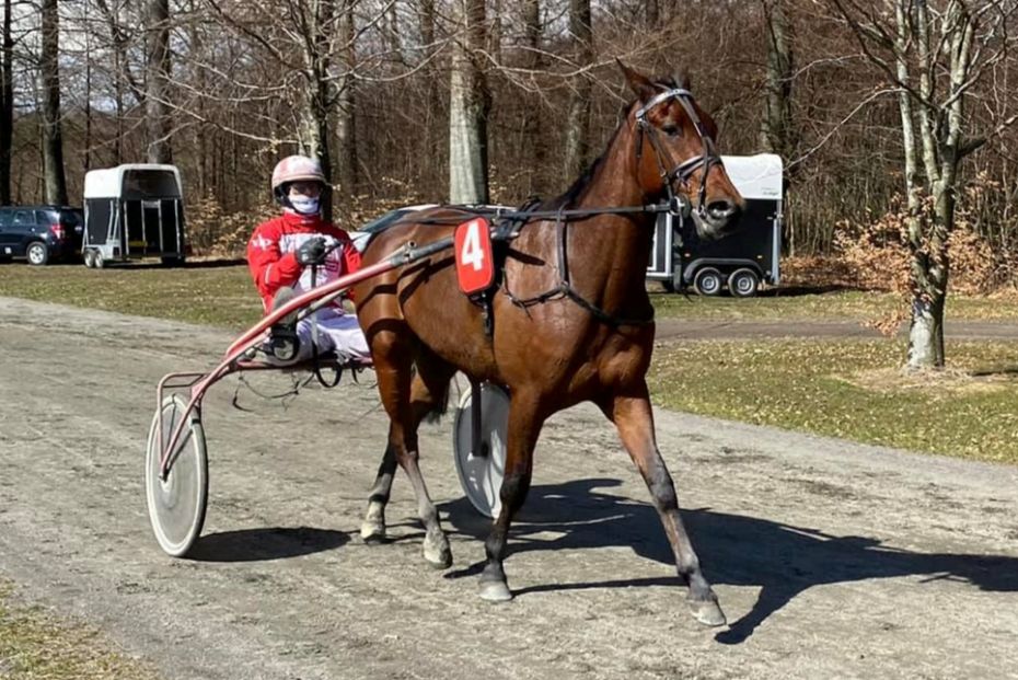 23. sejr til hest k�bt for 15.000 kroner