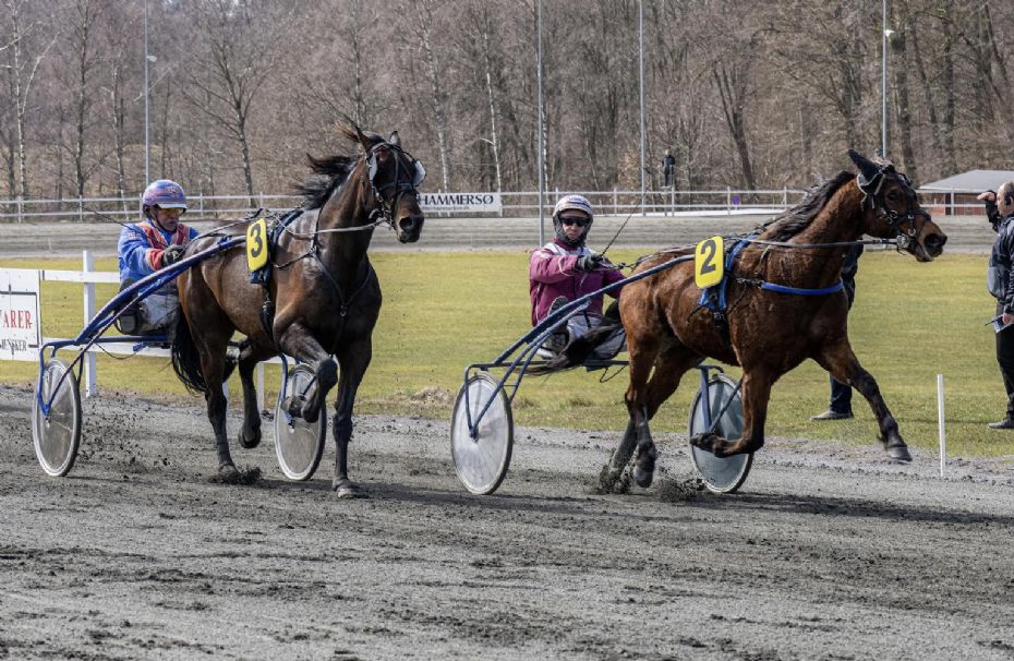 Pengem�ssigt har Frank Mikkelsen aldrig indledt bedre