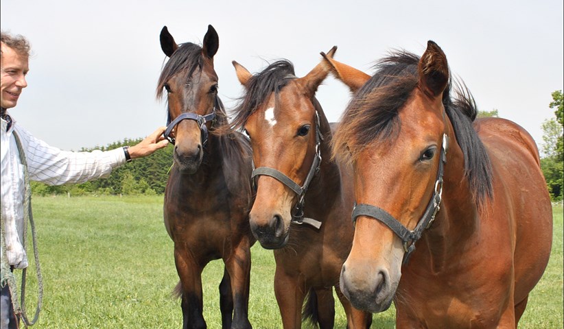 Topstemmet f�lhoppe til Kurt M. Hansen