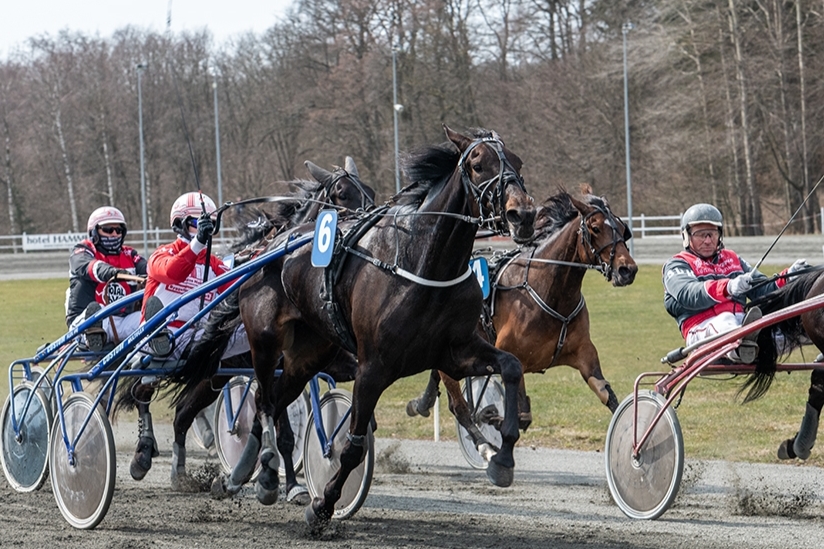 82 heste p� travbanens �bningsdag