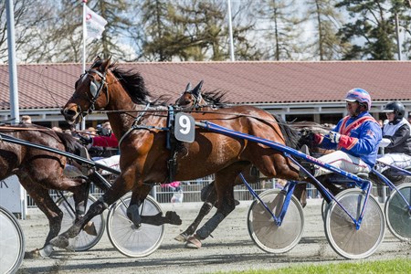 Veteran har syv k�reture i weekenden