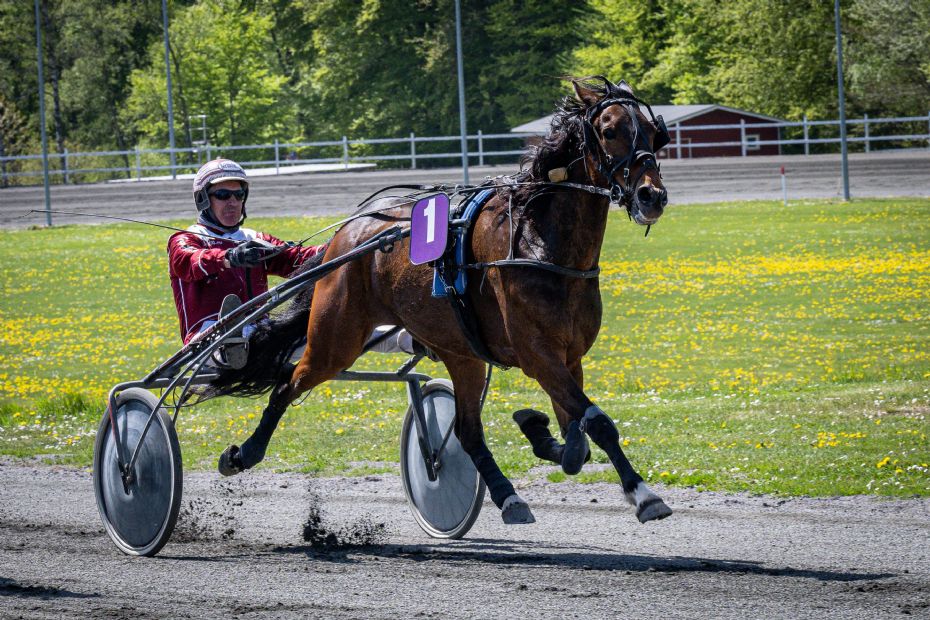 Frank Mikkelsen overlegen i tr�nerligaen