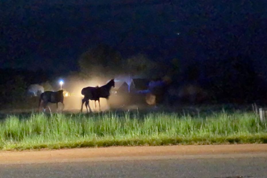Stor udrykning til g�rdbrand i Lobb�k