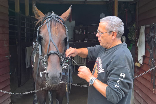 She�s My Baby l�b hurtigere end Jetset Onion