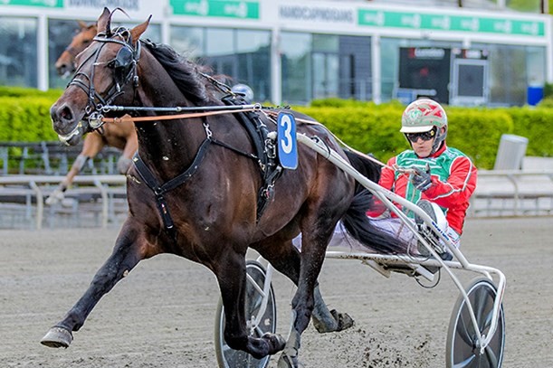 Fantastisk bornholmer l�rdag i Sverige