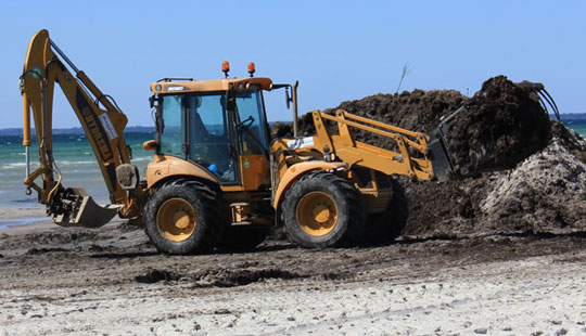 Forslag om at spare p� strandrensning