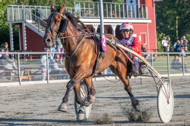 Endnu en travhest k�bt til Bornholm