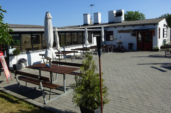 R�geri skal g�re bedre rent