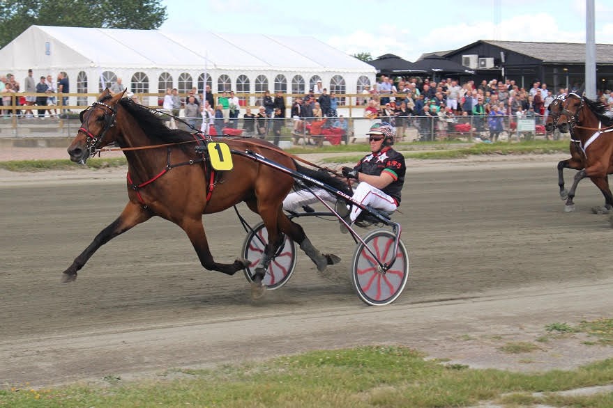 Fraflytters hest fortsat ubesejret