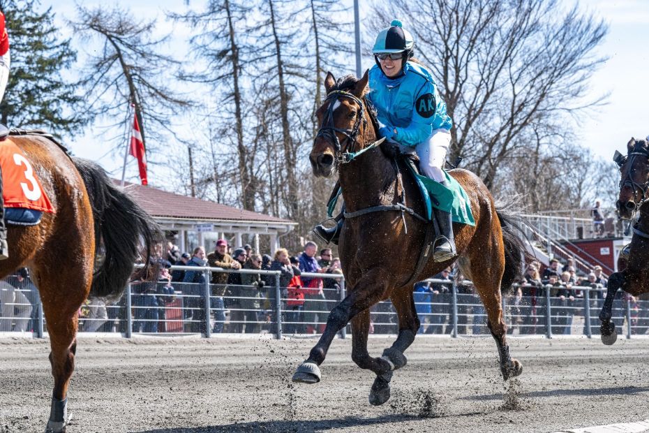 Godt spor til Bonny Boy i BM i ridetrav