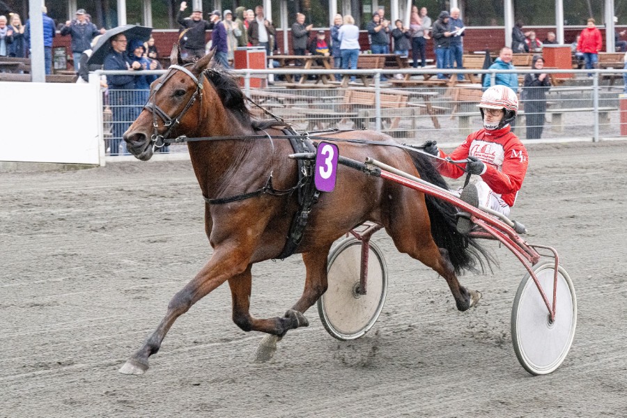 Eksperter holder Cerosso blank