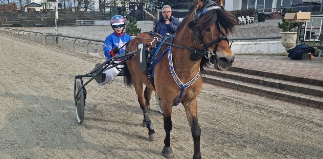 Bornholmsk landsholdspony femte hurtigst i NM