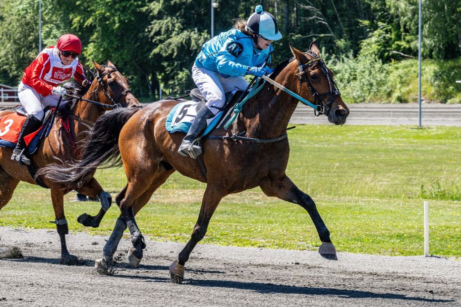 Bonny Boy jagter gammel rekord i BM-mont�
