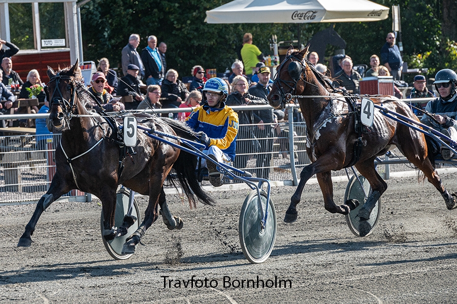 Navne » Otte heste løber om Bornholms Derbytitel » Bornholm.nu
