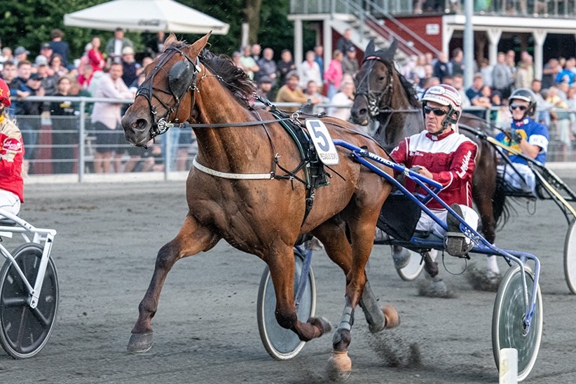 Ingen oplagt favorit i Bornholms Trav Derby