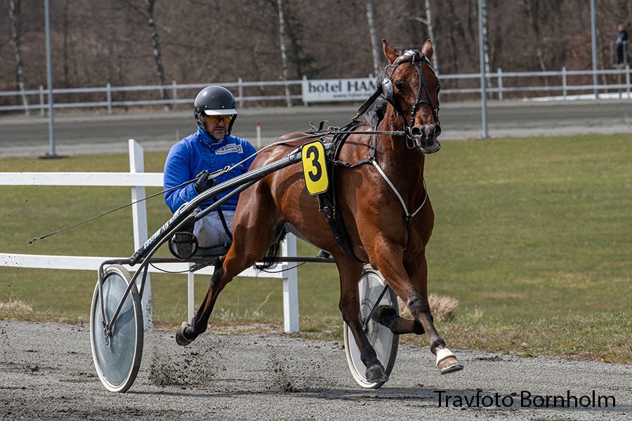 Ny hest hos Betina Lund