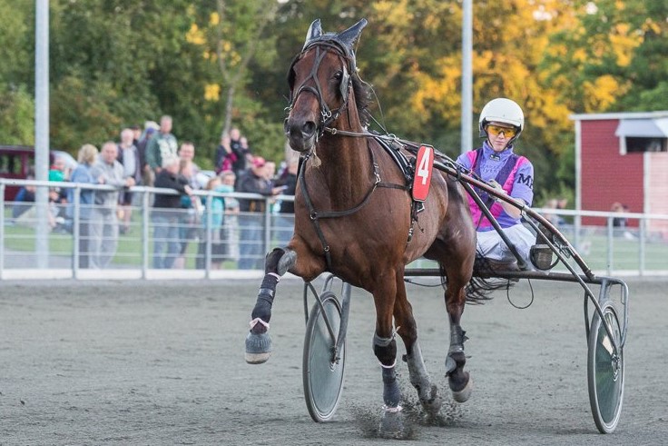 Ingen fremgang for Michelle p� Falster