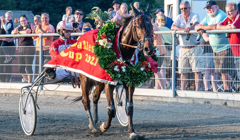 Ikke oplagt at Foxie Hill kan genvinde Calles Cup
