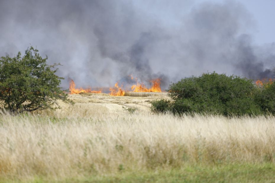 Brand i mejet�rsker bredte sig til kornmark ved Sose