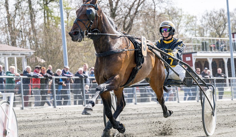 Kun en kvindelig kusk har vundet BM