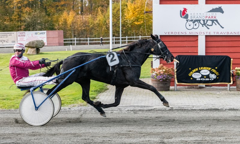 Sidste start i BM for to �ldre heste